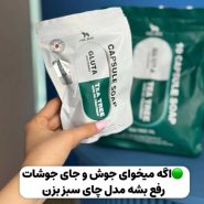 وارد کننده صابون کپسولی philskin