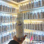 عطر گرمی مگاماره | خرید عمده عطر