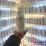 عطر گرمی مگاماره | خرید عمده عطر