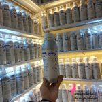 عطر گرمی عمده رایحه کرید اونتوس