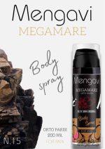 پخش اسپری 200میل بدن | لوازم آرایشی عمده بانه