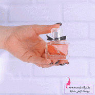 سایت پخش ادکلن اسمارت 25میل رایحه زنانه لاکوم