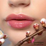 برق لب بی رنگ holdmorning ارزان و اورجینال و عمده