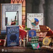 پک میکاپ هری پاتر شیگلم نمایندگی تهران sheglam