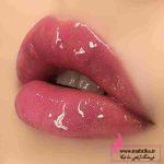 آرایشی عمده لیپ گلس حرارتی هدا
