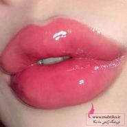 بالم لب حرارتی و 6کارهq3