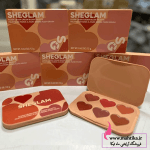 رژپالتی و رژ گونه شش رنگ شیگلم