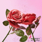 آرایشی عمده ماهتیکا نمایندگی لوازم آرایشی ترکیه در ایران وارد کننده مستقیم برند های محبوب ترک، همانند فارماسی، اکسول،. آرایشی عمده ماهتیکا مرکز پخش و فروش عمده لوازم آرایشی بهداشتی در بازار بزرگ تهران، واردکننده برند های محبوب و اورجینال آرایشی بهداشتی چون گارنیر،سیمپل،گابرینی،نوترژینا،وارد کننده محصولات آرایشی فانتزی چینی و کره ای ارسال به سراسر ایران با سیتم پست، تیپاکس،چاپار و باربری، ارسال مرسوله به عراق، ترکیه و افغانستان. برای مشاهده محصلات آرایشی فانتزی و عمده اینجا را کلیک کنید. برای مشاهده محصولات آرایشی در حراج اینجا را کلیک کنید. برای مشاهده لوازم آرایشی عمده اورجینال اینجا را کلیک کنید. پیج اینستاگرام محصولات شیگلم .. پیج تلگرام محصولات شیگلم