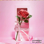 آرایشی عمده ماهتیکا نمایندگی لوازم آرایشی ترکیه در ایران وارد کننده مستقیم برند های محبوب ترک، همانند فارماسی، اکسول،. آرایشی عمده ماهتیکا مرکز پخش و فروش عمده لوازم آرایشی بهداشتی در بازار بزرگ تهران، واردکننده برند های محبوب و اورجینال آرایشی بهداشتی چون گارنیر،سیمپل،گابرینی،نوترژینا،وارد کننده محصولات آرایشی فانتزی چینی و کره ای ارسال به سراسر ایران با سیتم پست، تیپاکس،چاپار و باربری، ارسال مرسوله به عراق، ترکیه و افغانستان. برای مشاهده محصلات آرایشی فانتزی و عمده اینجا را کلیک کنید. برای مشاهده محصولات آرایشی در حراج اینجا را کلیک کنید. برای مشاهده لوازم آرایشی عمده اورجینال اینجا را کلیک کنید. پیج اینستاگرام محصولات شیگلم .. پیج تلگرام محصولات شیگلم