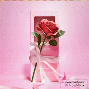 آرایشی عمده ماهتیکا نمایندگی لوازم آرایشی ترکیه در ایران وارد کننده مستقیم برند های محبوب ترک، همانند فارماسی، اکسول،. آرایشی عمده ماهتیکا مرکز پخش و فروش عمده لوازم آرایشی بهداشتی در بازار بزرگ تهران، واردکننده برند های محبوب و اورجینال آرایشی بهداشتی چون گارنیر،سیمپل،گابرینی،نوترژینا،وارد کننده محصولات آرایشی فانتزی چینی و کره ای ارسال به سراسر ایران با سیتم پست، تیپاکس،چاپار و باربری، ارسال مرسوله به عراق، ترکیه و افغانستان. برای مشاهده محصلات آرایشی فانتزی و عمده اینجا را کلیک کنید. برای مشاهده محصولات آرایشی در حراج اینجا را کلیک کنید. برای مشاهده لوازم آرایشی عمده اورجینال اینجا را کلیک کنید. پیج اینستاگرام محصولات شیگلم .. پیج تلگرام محصولات شیگلم