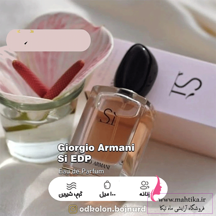 hs-Hd عمده فروشی ادکلن گناوه