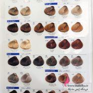 قیمت خرید عمده رنگ مو جوو JEVO