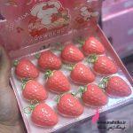 رز لب و بالم لب توت‌فرنگی فانتزی | پخش آرایشی ماهتیکا💋