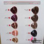 قیمت خرید عمده رنگ موی دنی وان - Image 6