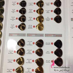 نمایندگی رنگ موی دنی وان در بازار تهران قیمت پخش