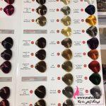 قیمت خرید عمده رنگ موی دنی وان - Image 3