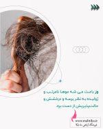 شرکت پخش لوازم آرایشی کاسپین(تافت کاسپین سبز)